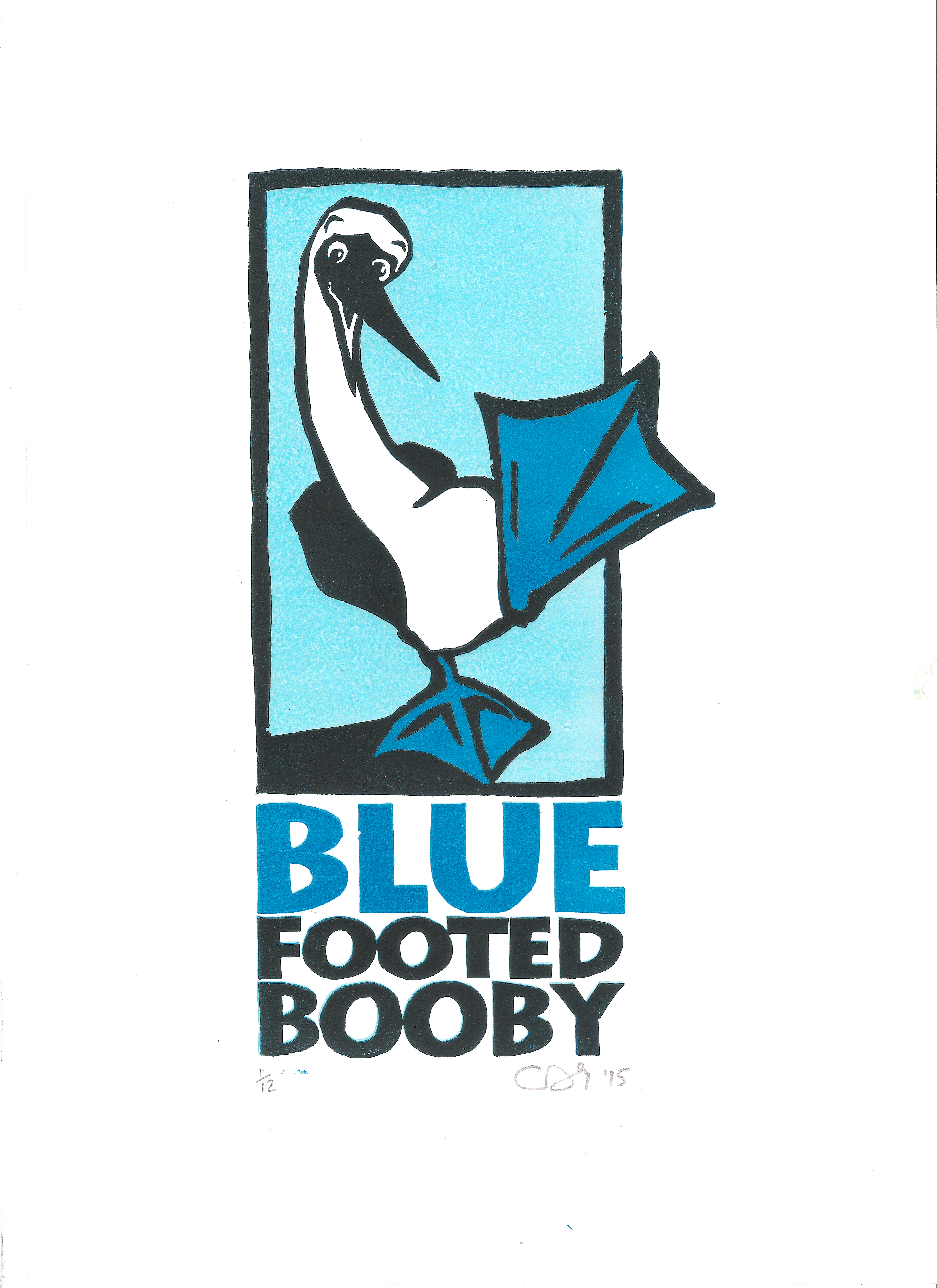 Blue footed booby 1-12