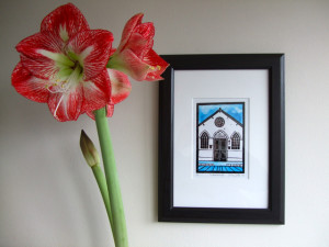 amaryllis